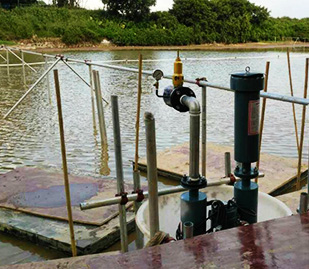 浙江蕭山東直河項(xiàng)目 浙江蕭山東直河項(xiàng)目