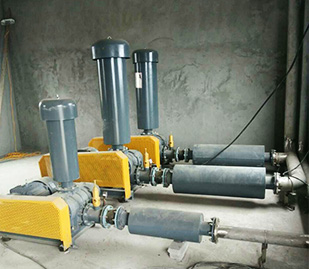 浙江種豬養(yǎng)殖廠 浙江種豬養(yǎng)殖廠